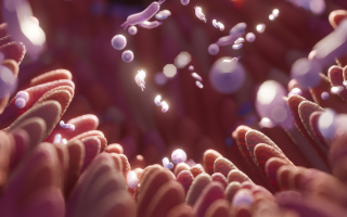 Mikrobiota matki i dziecka – niewidzialny most życia