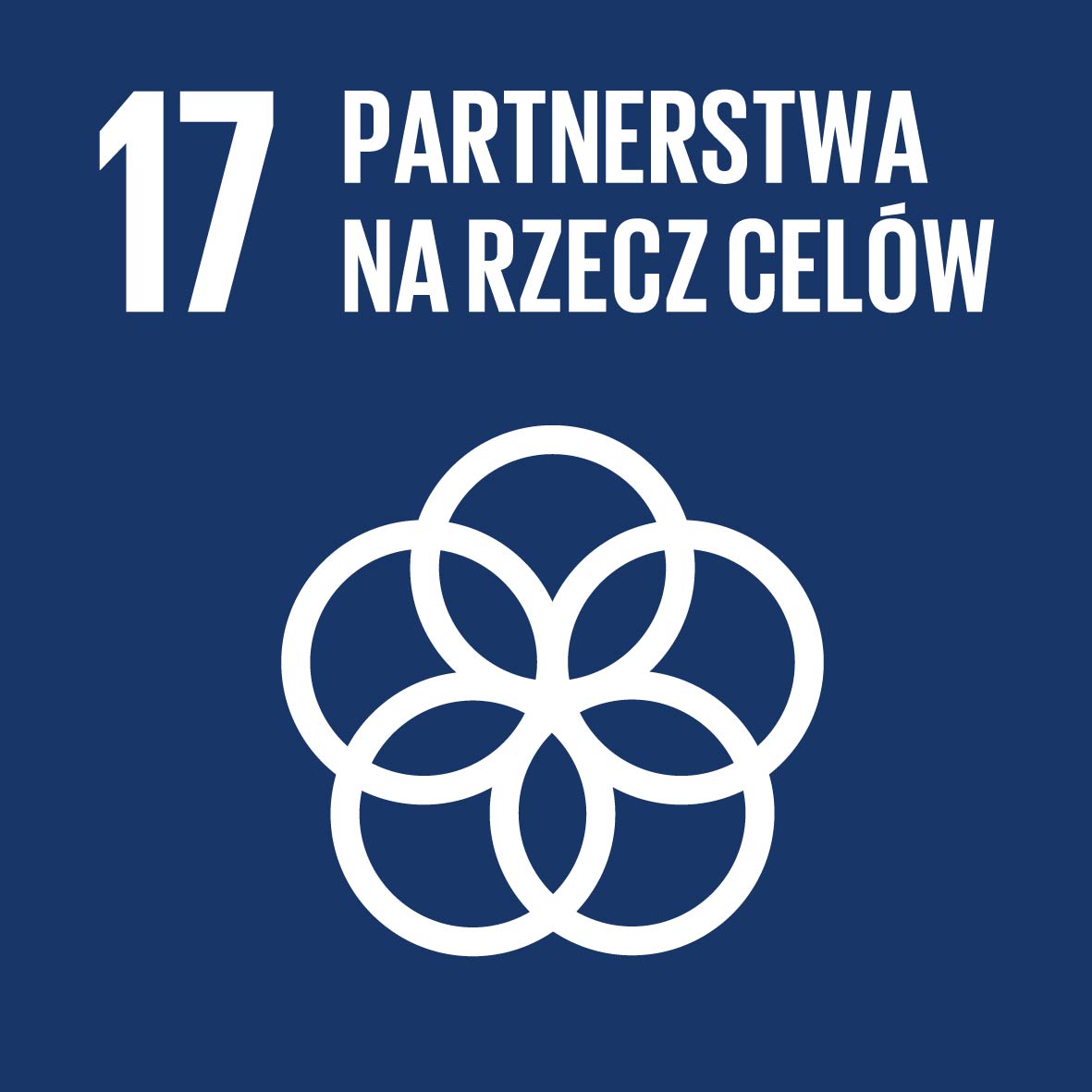 SDG 17 - Partnerstwa na rzecz celów
